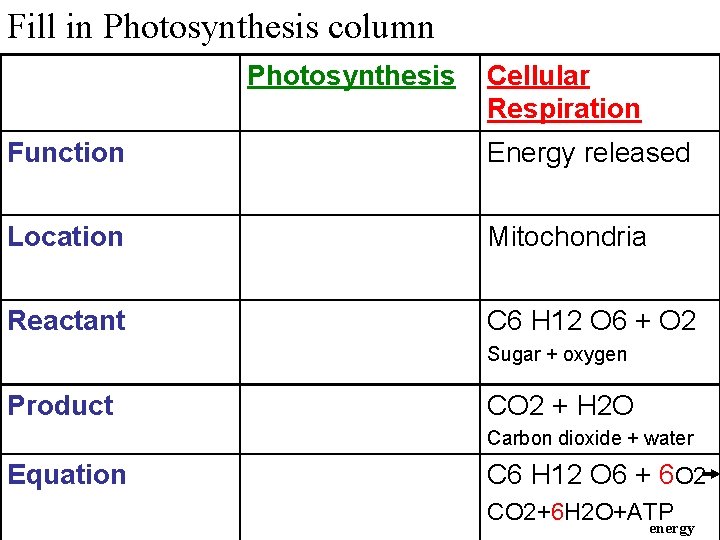 Fill in Photosynthesis column Photosynthesis Cellular Respiration Function Energy released Location Mitochondria Reactant C