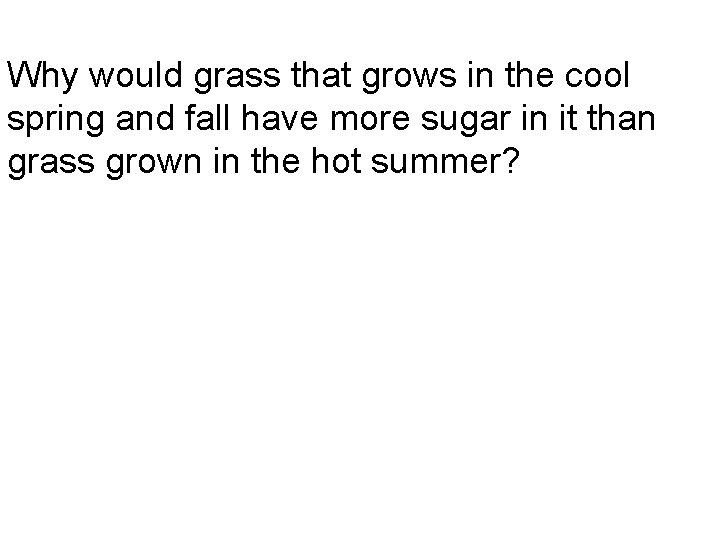 Why would grass that grows in the cool spring and fall have more sugar