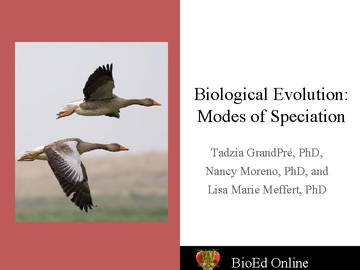Biological Evolution Modes of Speciation Tadzia Grand Pr