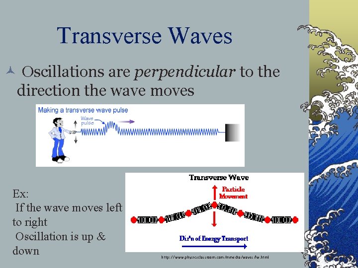 Transverse Waves © Oscillations are perpendicular to the direction the wave moves Ex: If