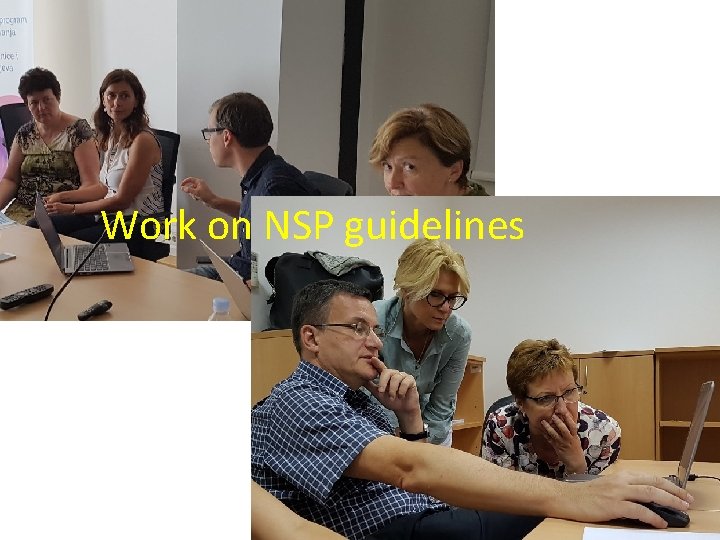 Work on NSP guidelines 