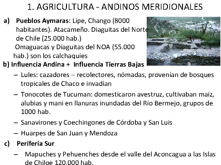 1. AGRICULTURA - ANDINOS MERIDIONALES a) Pueblos Aymaras: Lipe, Chango (8000 habitantes). Atacameño. Diaguitas
