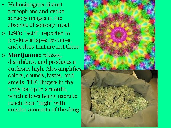  • Hallucinogens distort perceptions and evoke sensory images in the absence of sensory