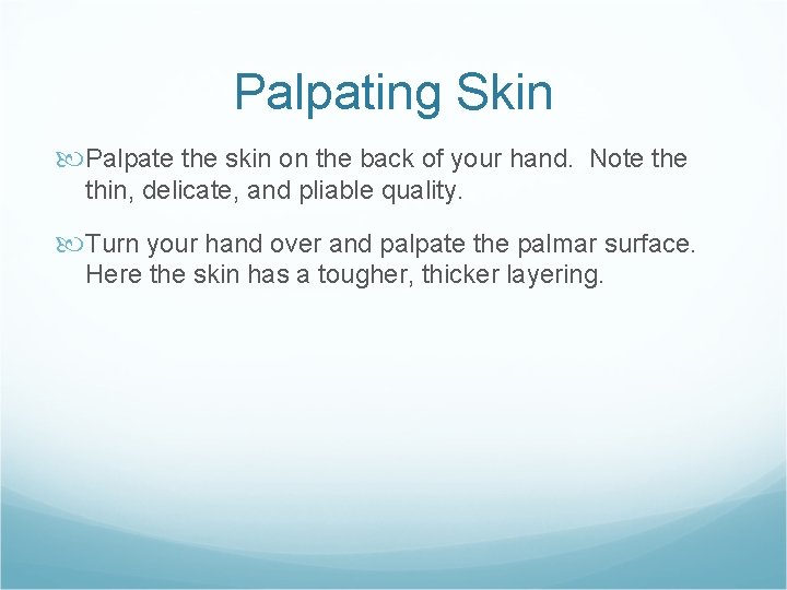 Palpating Skin Palpate the skin on the back of your hand. Note thin, delicate,