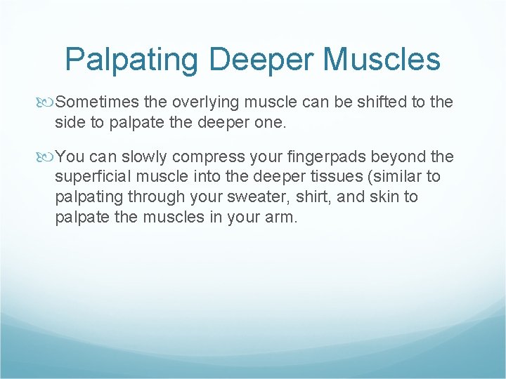 Palpating Deeper Muscles Sometimes the overlying muscle can be shifted to the side to