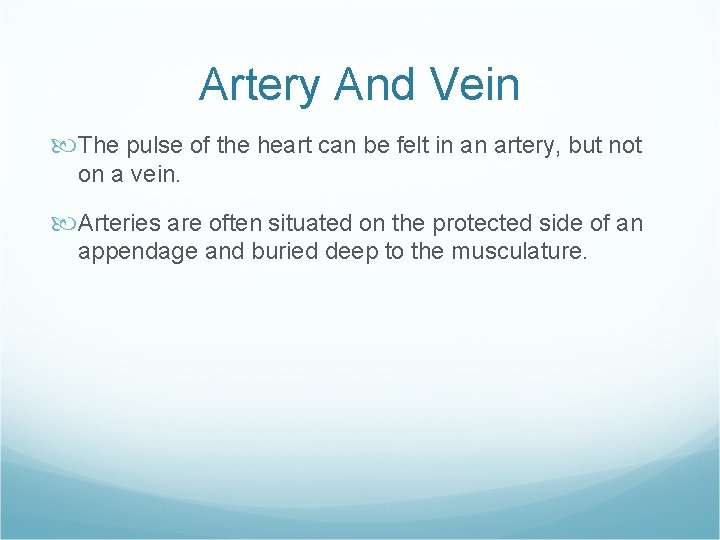 Artery And Vein The pulse of the heart can be felt in an artery, Artery And Vein The pulse of the heart can be felt in an artery,
