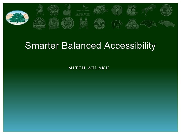 Smarter Balanced Accessibility MITCH AULAKH 