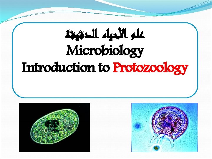  ﻋﻠﻢ ﺍﻷﺤﻴﺎﺀ ﺍﻟﺪﻗﻴﻘﺔ Microbiology Introduction to Protozoology 