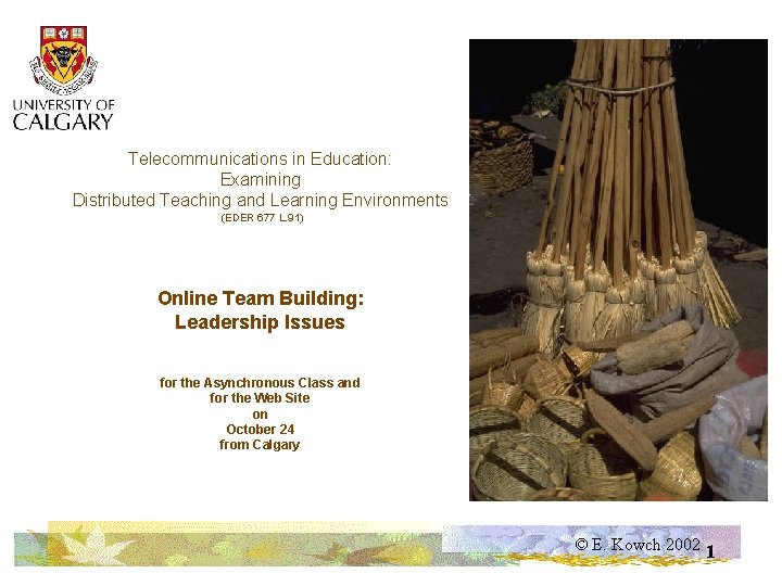 Telecommunications in Education: Examining Distributed Teaching and Learning Environments (EDER 677 L. 91) Online