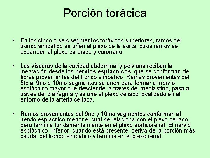 Porción torácica • En los cinco o seis segmentos toráxicos superiores, ramos del tronco