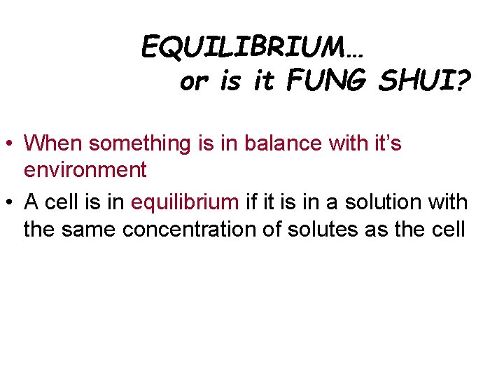 EQUILIBRIUM… or is it FUNG SHUI? • When something is in balance with it’s