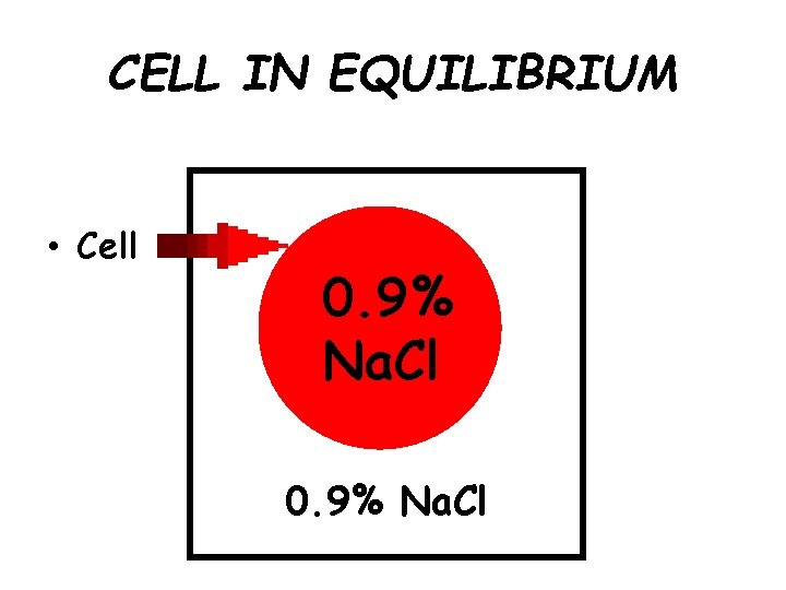 CELL IN EQUILIBRIUM • Cell 0. 9% Na. Cl 