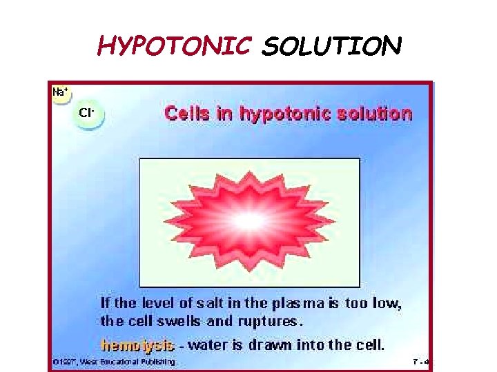 HYPOTONIC SOLUTION 