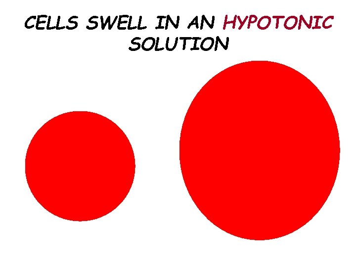 CELLS SWELL IN AN HYPOTONIC SOLUTION 