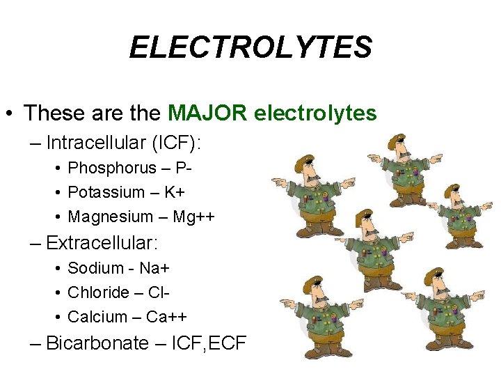 ELECTROLYTES • These are the MAJOR electrolytes – Intracellular (ICF): • Phosphorus – P