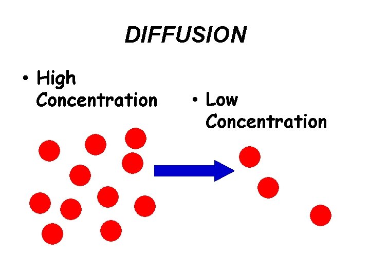 DIFFUSION • High Concentration • Low Concentration 
