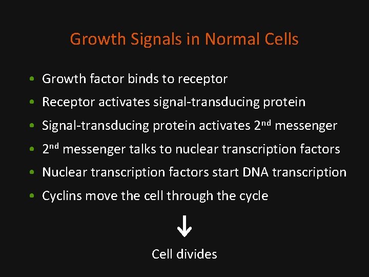 Growth Signals in Normal Cells • Growth factor binds to receptor • Receptor activates
