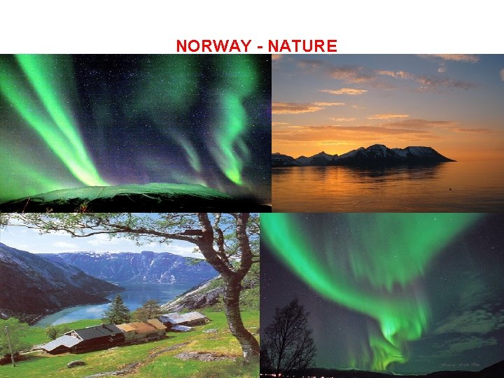 NORWAY - NATURE 