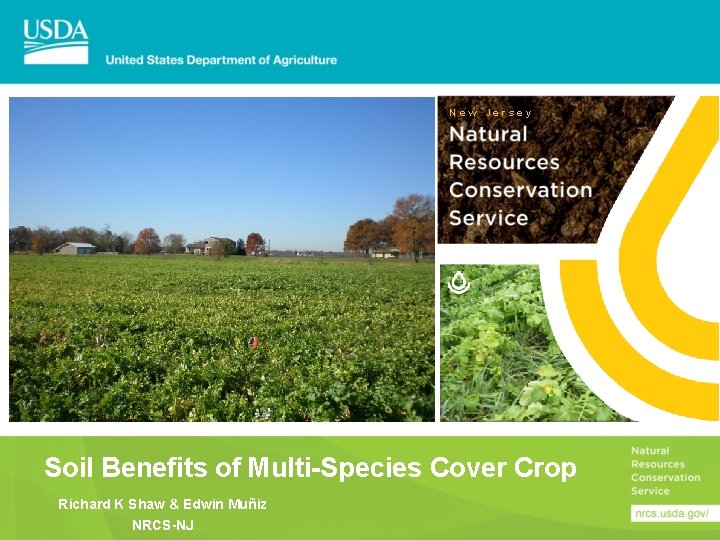 New Jersey Soil Benefits of MultiSpecies Cover Crop