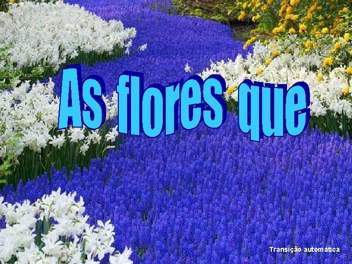 Transição automática 