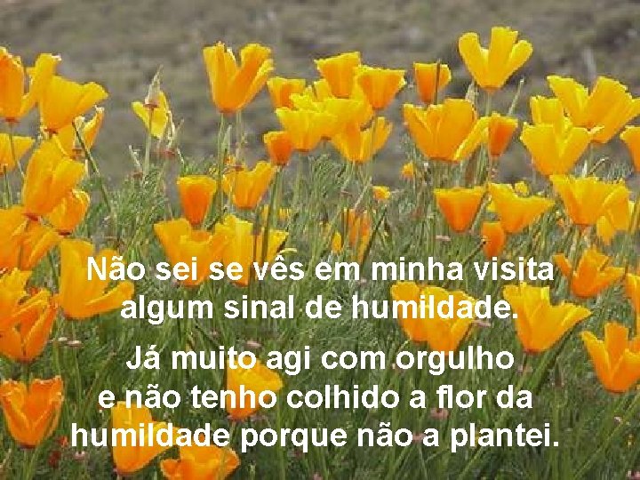 Não sei se vês em minha visita algum sinal de humildade. Já muito agi