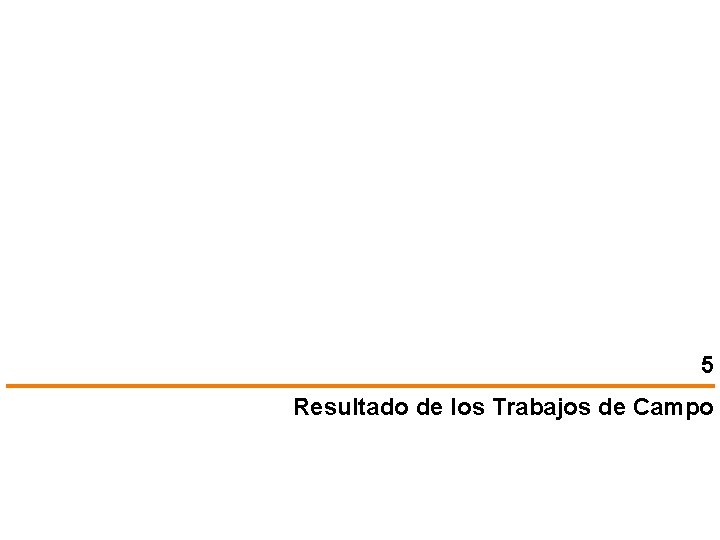 5 Resultado de los Trabajos de Campo 