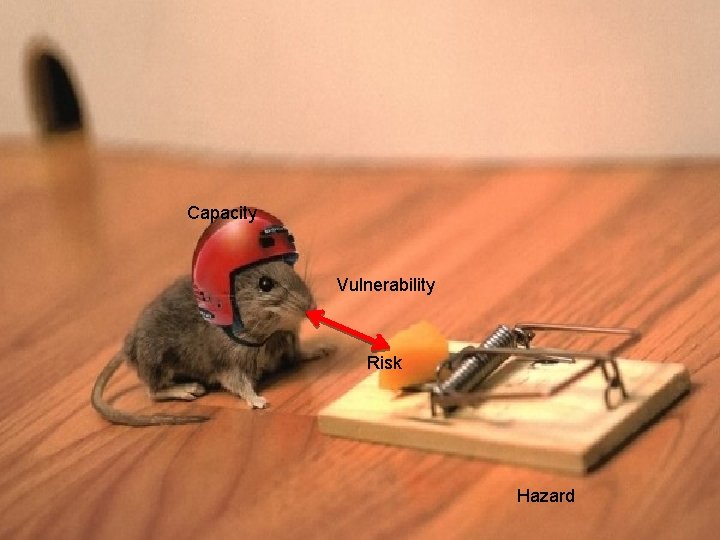 Capacity Vulnerability Risk Hazard 