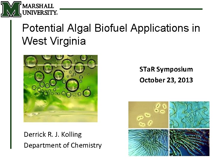 Potential Algal Biofuel Applications in West Virginia STa. R Symposium October 23, 2013 Derrick