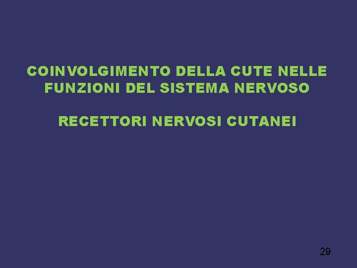 COINVOLGIMENTO DELLA CUTE NELLE FUNZIONI DEL SISTEMA NERVOSO RECETTORI NERVOSI CUTANEI 29 