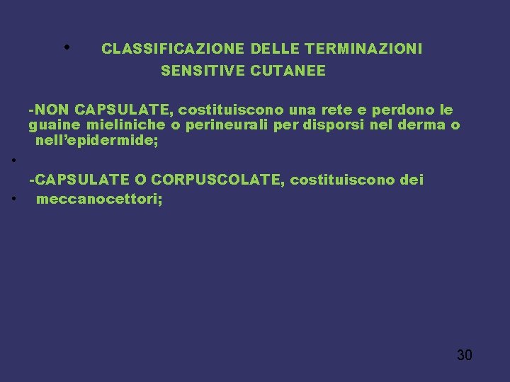  • CLASSIFICAZIONE DELLE TERMINAZIONI SENSITIVE CUTANEE -NON CAPSULATE, costituiscono una rete e perdono