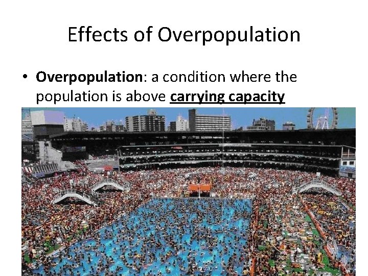 Effects of Overpopulation • Overpopulation: a condition where the population is above carrying capacity