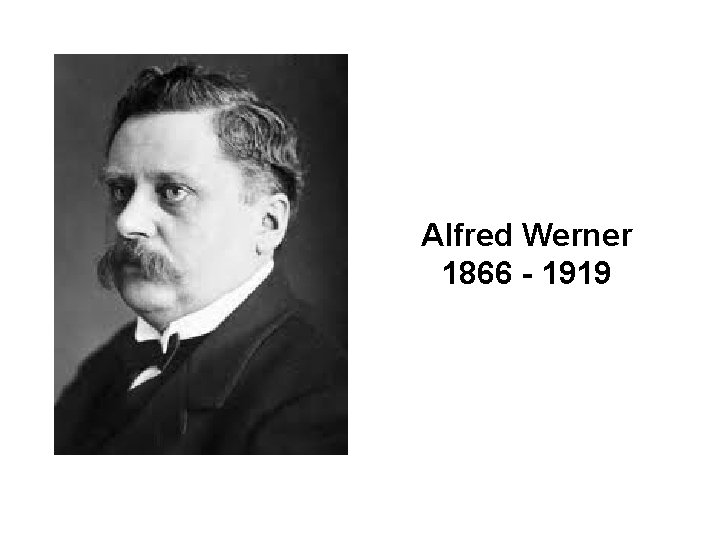 Alfred Werner 1866 - 1919 