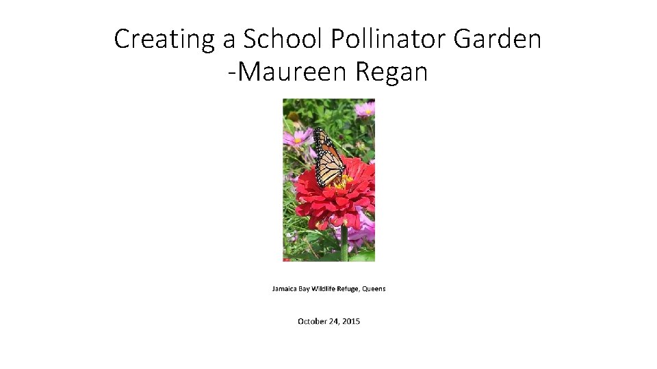 Creating a School Pollinator Garden -Maureen Regan 