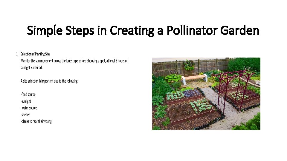 Simple Steps in Creating a Pollinator Garden 