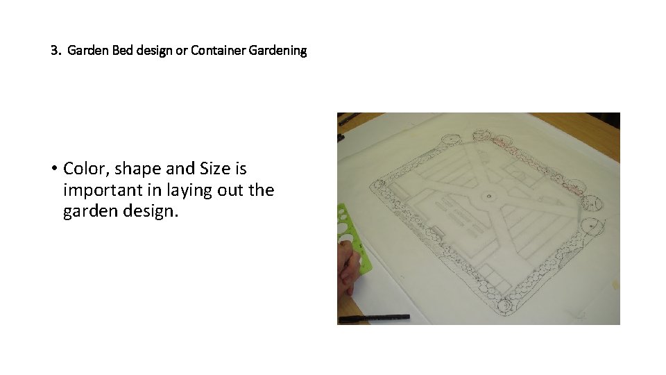 3. Garden Bed design or Container Gardening • Color, shape and Size is important