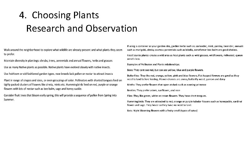 4. Choosing Plants Research and Observation 
