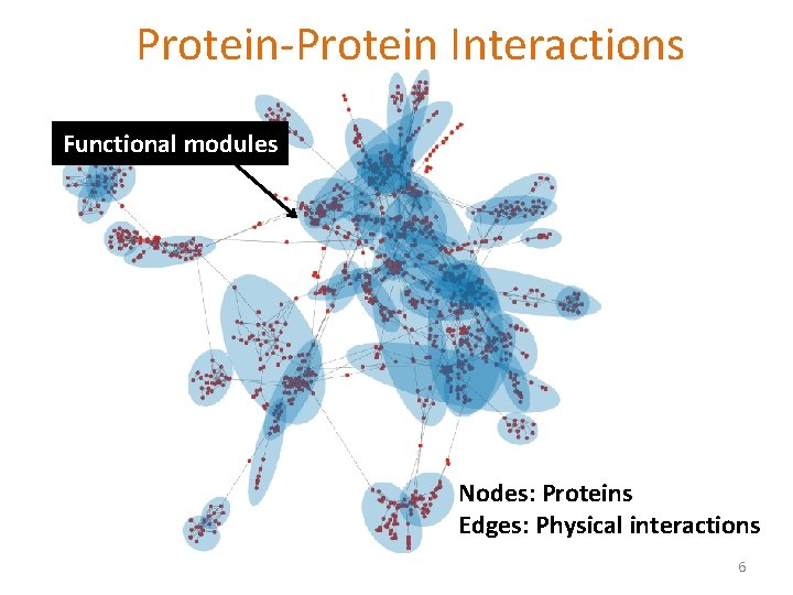 Protein-Protein Interactions Functional modules Nodes: Proteins Edges: Physical interactions 6 