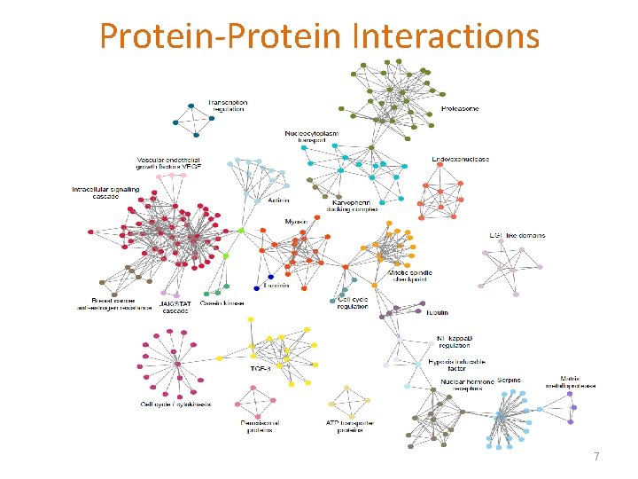 Protein-Protein Interactions 7 