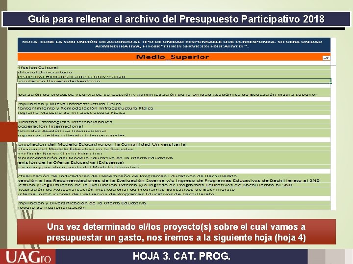 Guía para rellenar el archivo del Presupuesto Participativo 2018 Una vez determinado el/los proyecto(s)