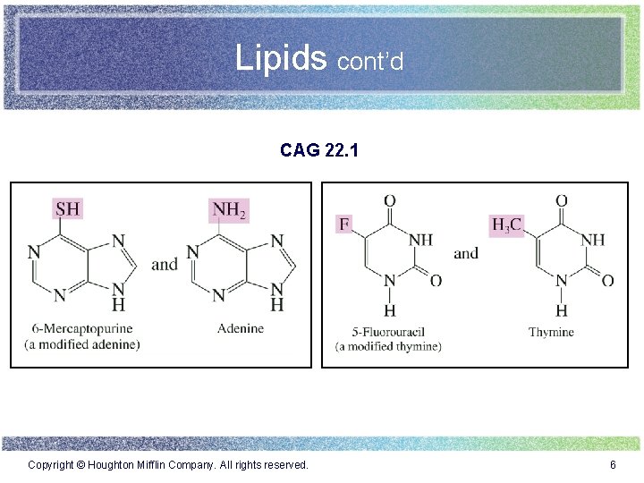 Lipids cont’d CAG 22. 1 Copyright © Houghton Mifflin Company. All rights reserved. 6