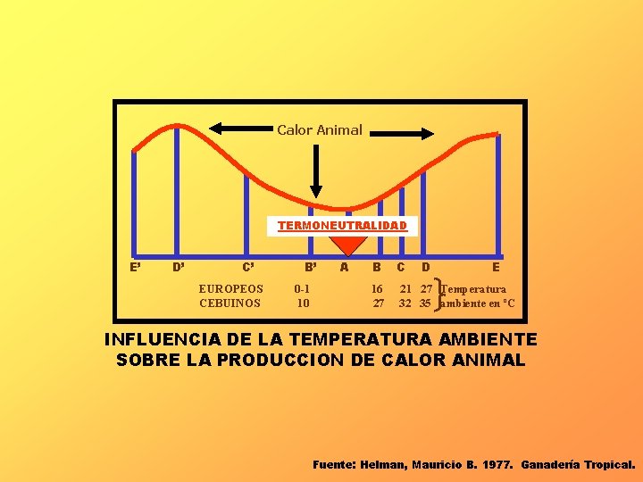 Calor Animal TERMONEUTRALIDAD E’ D’ C’ EUROPEOS CEBUINOS B’ 0 -1 10 A B