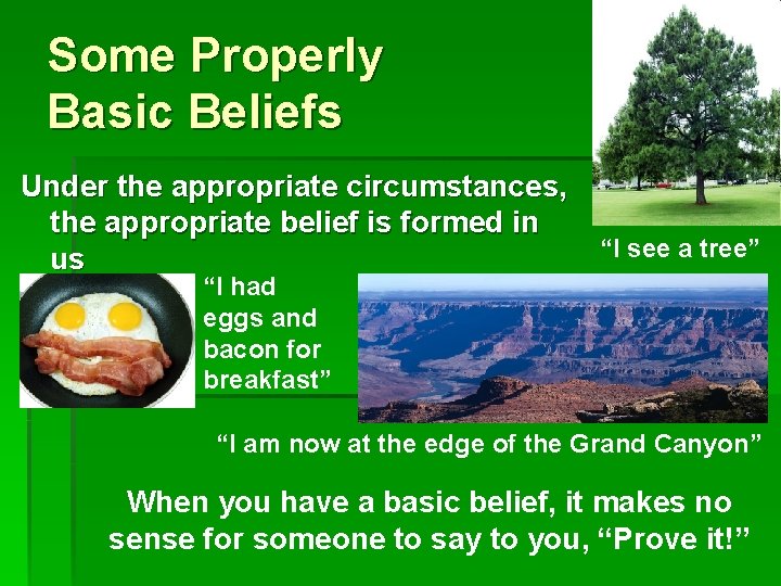Some Properly Basic Beliefs Under the appropriate circumstances, the appropriate belief is formed in