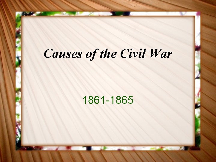 Causes of the Civil War 1861 -1865 