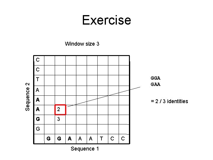 Exercise Window size 3 C C GGA GAA Sequence 2 T A A =