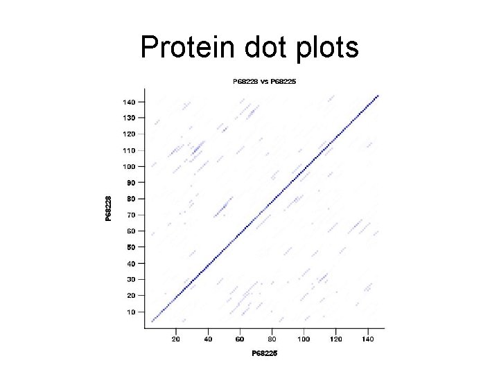 Protein dot plots 