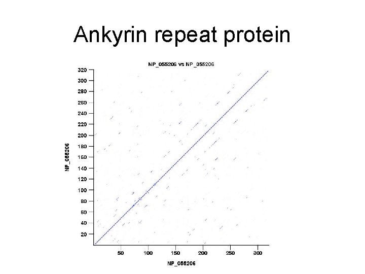 Ankyrin repeat protein 