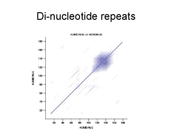 Di-nucleotide repeats 