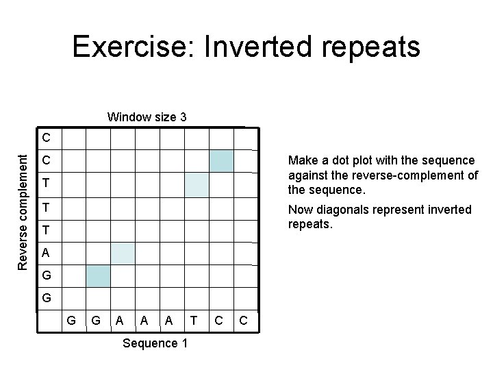 Exercise: Inverted repeats Window size 3 Reverse complement C C Make a dot plot