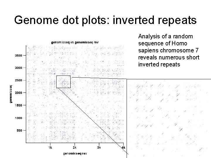 Genome dot plots: inverted repeats Analysis of a random sequence of Homo sapiens chromosome