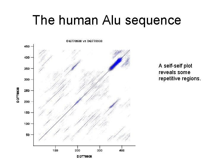 The human Alu sequence A self-self plot reveals some repetitive regions. 